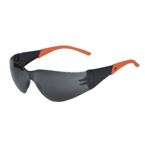 Lente daumer L-300 gris c/cordon Lioi