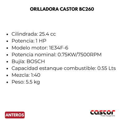 ASERRADERO_CASTOR_RS18_34_grande ASERRADERO_CASTOR_RS18_34_grande
