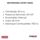 ASERRADERO_CASTOR_RS18_26_grande