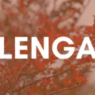 LENGA_1