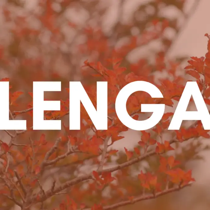LENGA_1