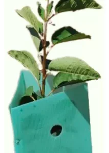 Protector de árbol verde UV  50 x 20 cms