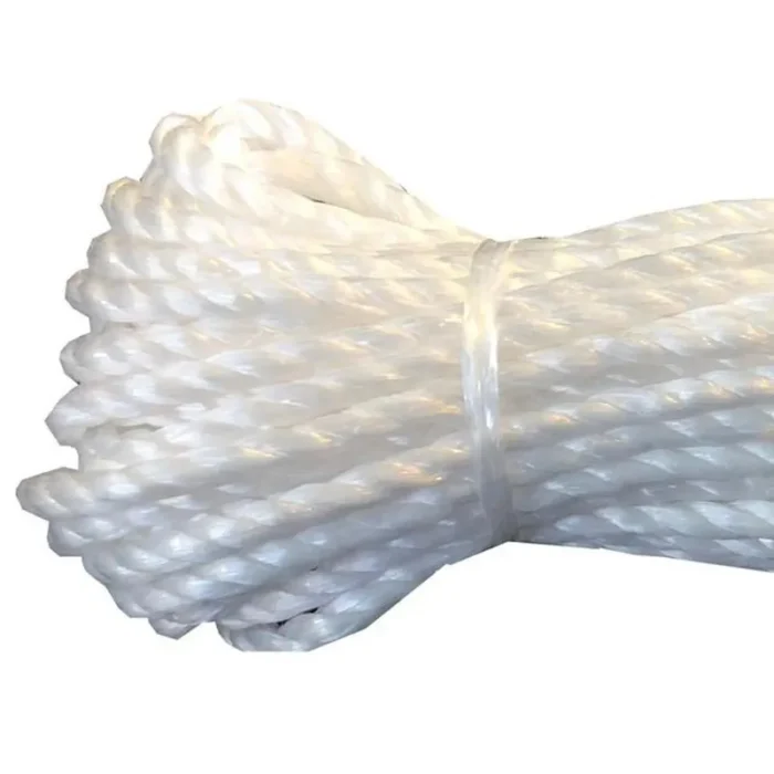 w=800,h=800,fit=pad (1)