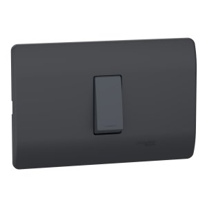 Interruptor simple 10A 9/12  Genesis negro Schneider
