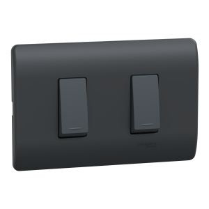 Interruptor doble 10A 9/15 Genesis negro Schneider