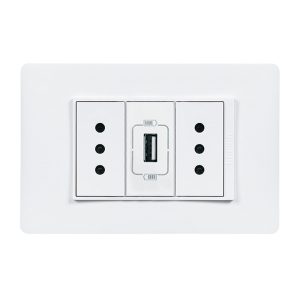 Enchufe doble 10A + USB Luzica blanco  Bticino