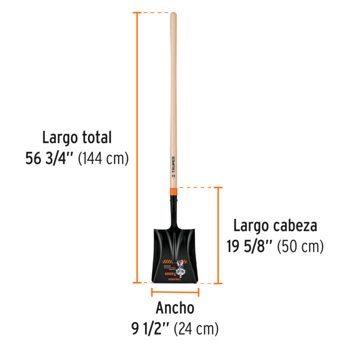 PCL-P+FC2