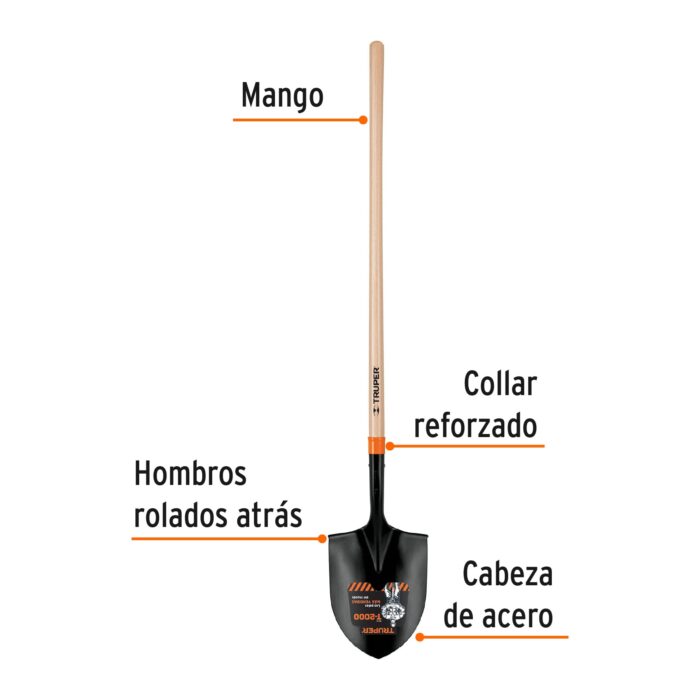 PIR-P+FC1 PIR-P+FC1