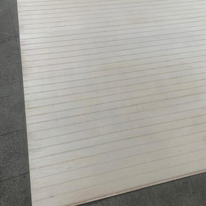 WhatsApp Image 2025-11-19 at 11.01.56